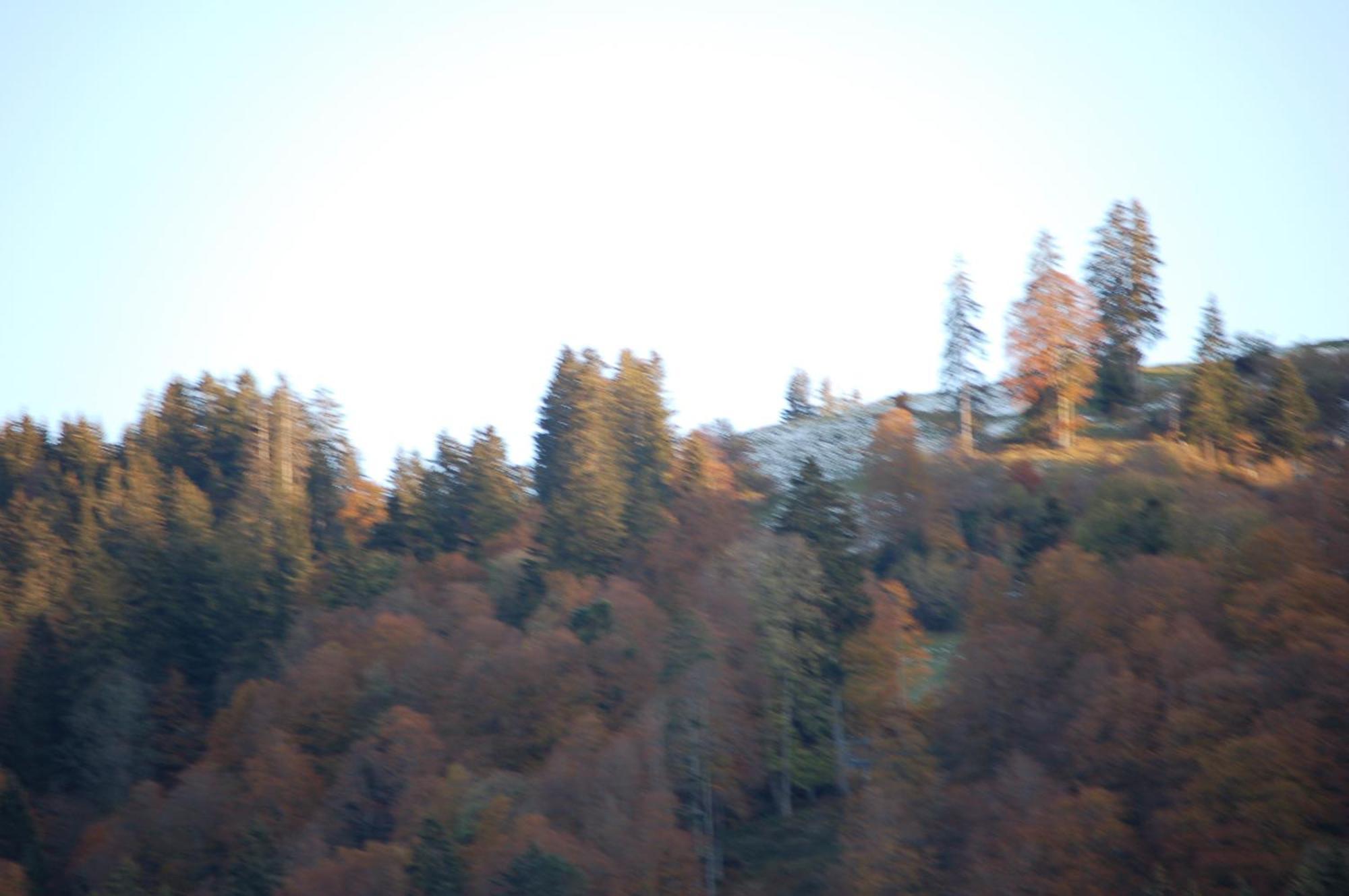 Gasthaus Schaefli Alt St. Johann エクステリア 写真