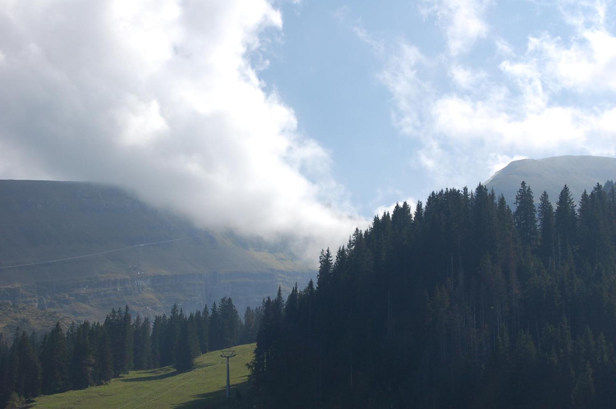 Gasthaus Schaefli Alt St. Johann エクステリア 写真