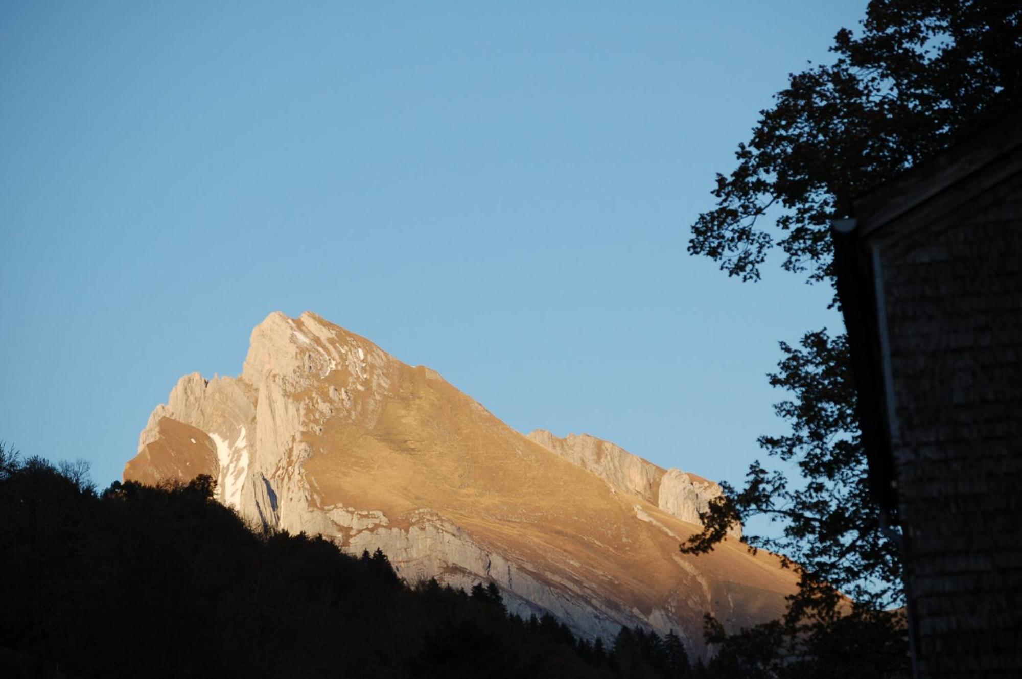 Gasthaus Schaefli Alt St. Johann エクステリア 写真